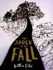 Cover image of The Shock of the Fall